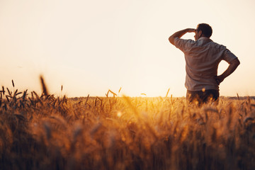 Silhouette of man looking at beautiful landscape in a field at sunset.