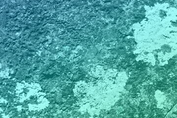 teal, sea-green old scratched fungus on boulder texture - wonderful abstract photo background