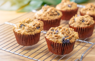 Fresh baked blueberry muffins cupcakes on wooden background