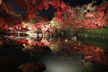 Obraz na płótnie Canvas Night-time Autumn Leaf at Eikan-do Temple, Kyoto, Japan