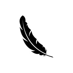 Feather icon vector