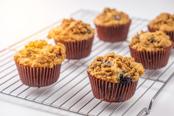 Fresh baked blueberry muffins cupcakes on white background