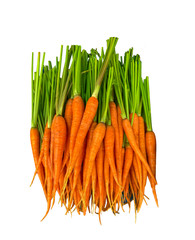 pile of carrot isolated on white background,