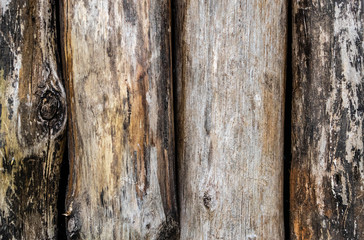 Four tree logs form a wall, close up detail. Textured wood background.