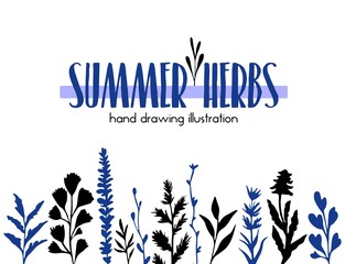 Summer herbs ink silhouettes illustration hand drawing