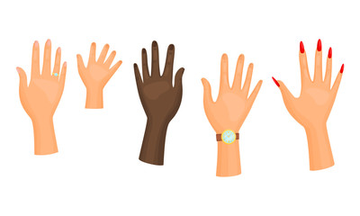 Different Hands with Rings and Watch Isolated on White Background Vector Set