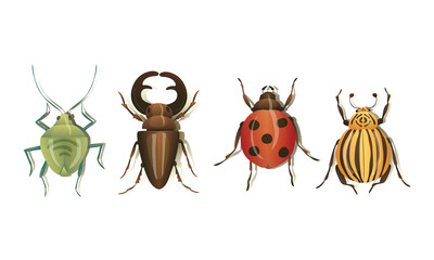 Realistic Bugs and Insects with Shadows Vector Set