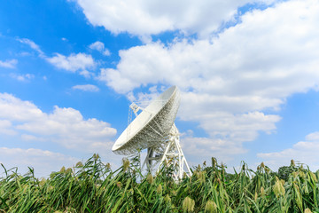Observatory radio telescope under the blue sky in Shanghai.