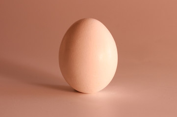 Egg on a white background