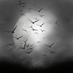 Black and white illustration. Moon, clouds and birds.