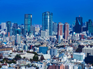 Fototapeta premium 東京の風景