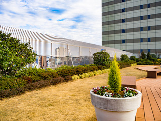 高層ビルの屋上　緑化