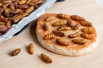 Silkworm Pupae (Bombyx Mori). Food insects for eating as food. Bakery baked bread made of cooked...