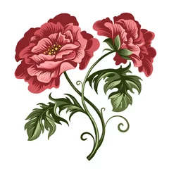Glasschilderij Pioenrozen vector decoratieve rode pioenroos en roze bloemen