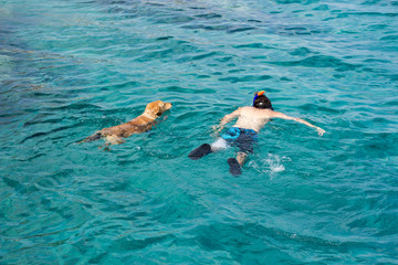 man swimming with dog water activities summer relaxation concept photography from above poster concept on Red sea water scenic view