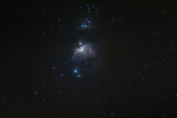 Orion Nebula