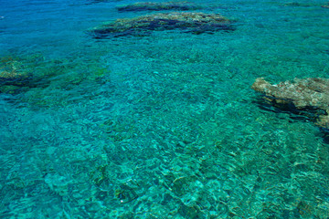 clean nature tropic scenic view from above Red sea coral reefs bottom aquamarine vivid colors transparent water background space for copy or your text