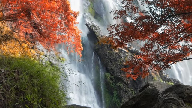 Panning shot of amazing in nature, beautiful waterfall at colorful autumn forest in fall season