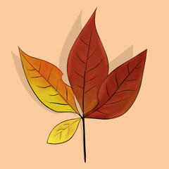Fototapeta premium Isolated leaf illustration
