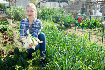 Teen girl    gardener picking harvest of onion  in  sunny garden