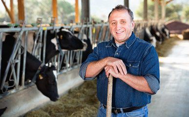Adult farmer is standing near cows at the farm.