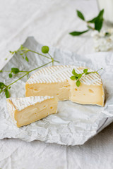 Delicious brie cheese with close-up