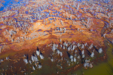 Marisma de Rubin, Rio del Escudo, Oyambre Natural Park, San Vicente de la Barquera, Cantabrian Sea, Cantabria, Spain, Europe