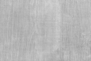 Fototapeta premium white canvas background