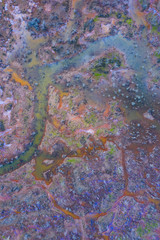 Marisma de Rubin, Rio del Escudo, Oyambre Natural Park, San Vicente de la Barquera, Cantabrian Sea, Cantabria, Spain, Europe