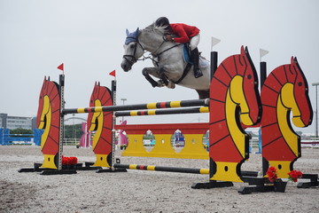 Jumping horse