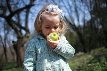  A little girl walks in the spring botanical garden with an apple in her hands and eats it where the primroses bloomed