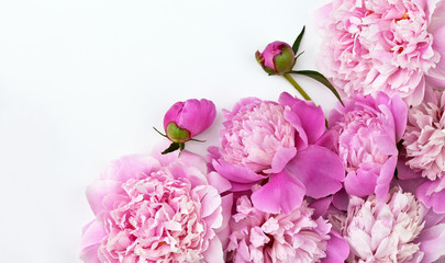 Romantic lovely bouquet of fresh pink peonies on a white background. Greeting card, message, holiday invitation, place for text. Spring floral background, close up, copy space