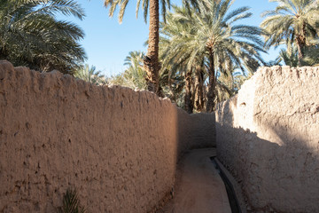 Path between adobe walls in the fields of the Figuig oasis in eastern Morocco