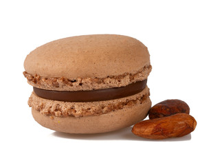 cocoa macaroon isolated on white