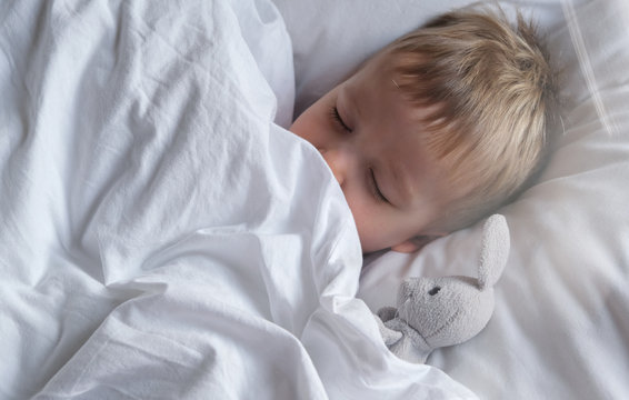 Cute toddler child boy sleeping in bed with toy bunny, wrapped in a blanket, hiding from the morning sunlight. Lifestyle photo with real people. Childhood concept.