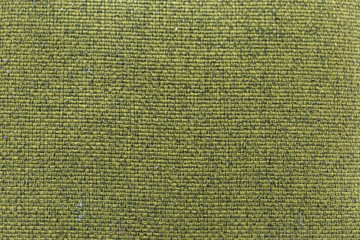 Fototapeta premium green tissue texture, background