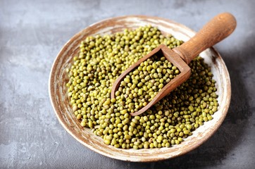 Raw mung bean in a plate on a gray background