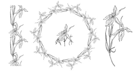 set of flower arrangements spring tender flowers