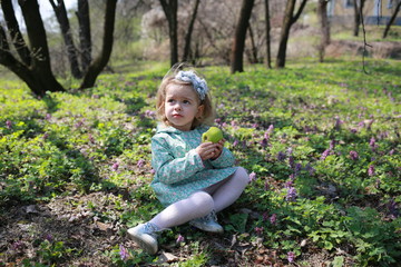  A little girl walks in the spring botanical garden with an apple in her hands and eats it where the primroses bloomed
