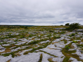 Stone formation, rocky ground, Burren. Karst area in the west of Ireland 