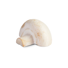 Half of the mushroom is isolated on a white background.