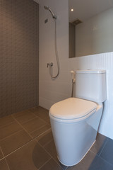 Toilet bowl in the bathroom interior architecture of rest room and decorative design