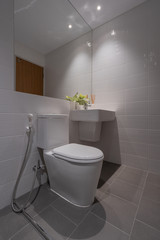 Toilet bowl in the bathroom interior architecture of rest room and decorative design