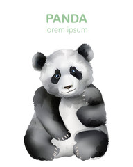 Watercolor portrait of a panda bear. Wildlife animals