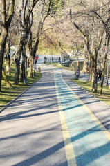bicycle track drawn on a valley road from Alexandru Ioan Cuza Park in Bucharest.movement for a healthy lifestyle