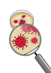 Flat design Illustration of viruses in a petri dish magnified with magnifying glass