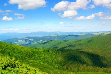 Fototapeta premium Carpathian mountains on bright sunny day