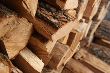 The chopped tree was piled in a pile.