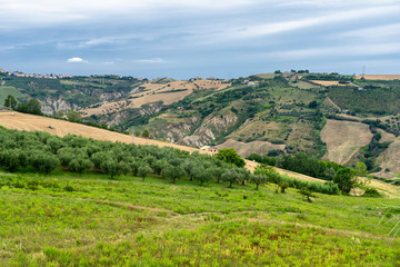 Fototapeta na wymiar Landscape in the Natural Park of Atri, Abruzzo