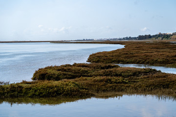 Obraz premium Wetlands and marshes in Tavira Portugal, at Barril Beach